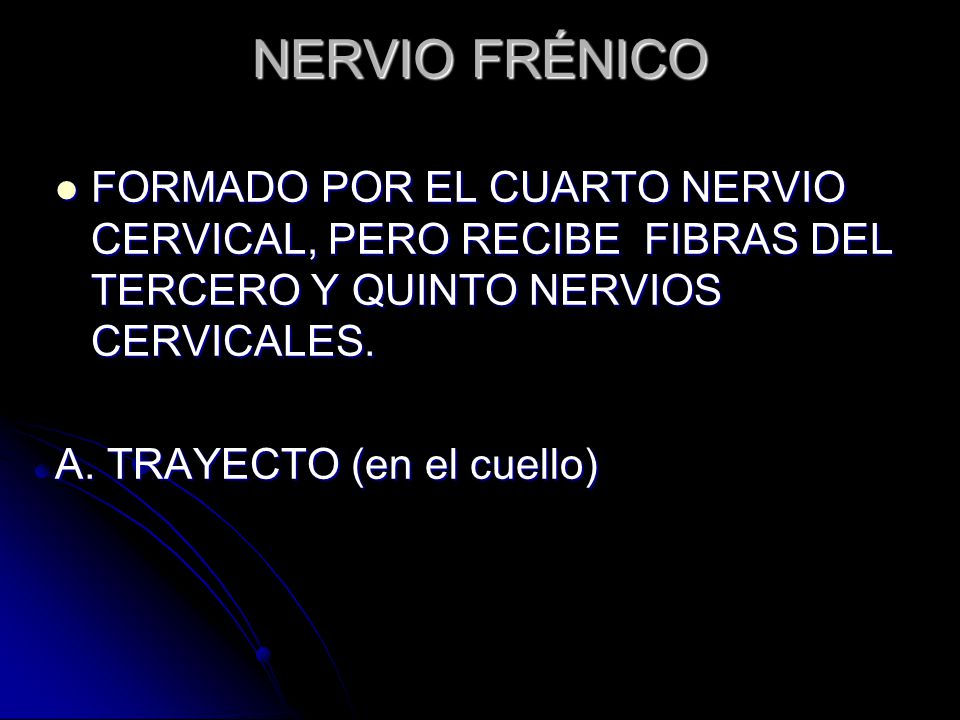 NERVIO FRÉNICO FORMADO POR EL CUARTO NERVIO CERVICAL, PERO RECIBE FIBRAS DEL TERCERO Y QUINTO NERVIOS CERVICALES.