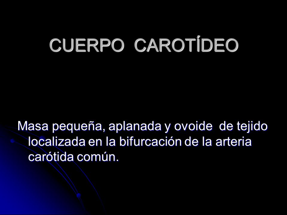 CUERPO CAROTÍDEO Masa pequeña, aplanada y ovoide de tejido localizada en la bifurcación de la arteria carótida común.