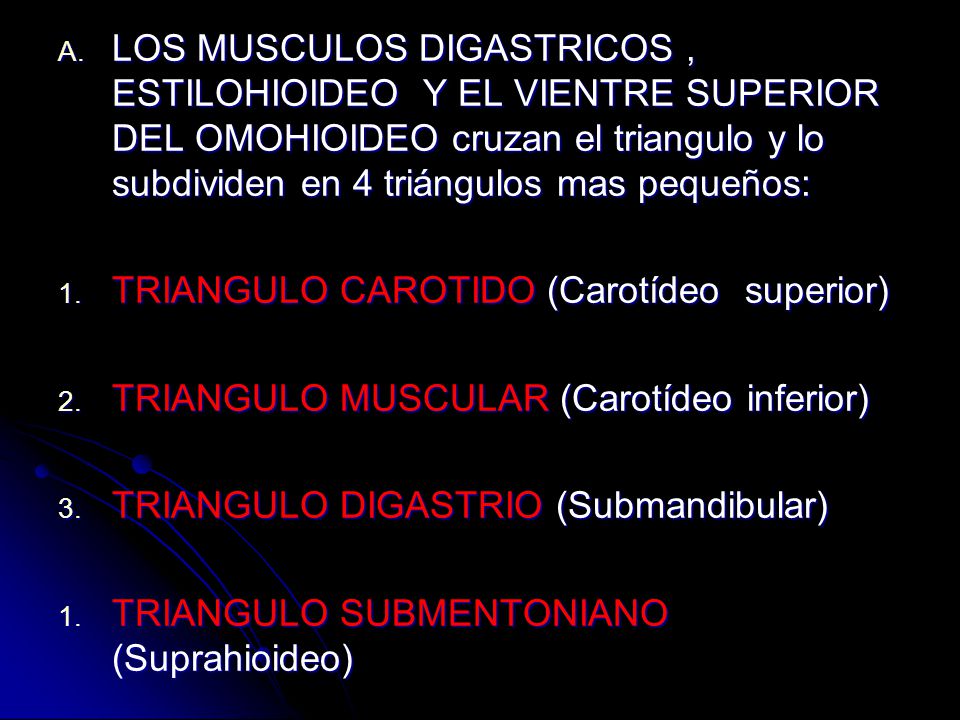 LOS MUSCULOS DIGASTRICOS , ESTILOHIOIDEO Y EL VIENTRE SUPERIOR DEL OMOHIOIDEO cruzan el triangulo y lo subdividen en 4 triángulos mas pequeños: