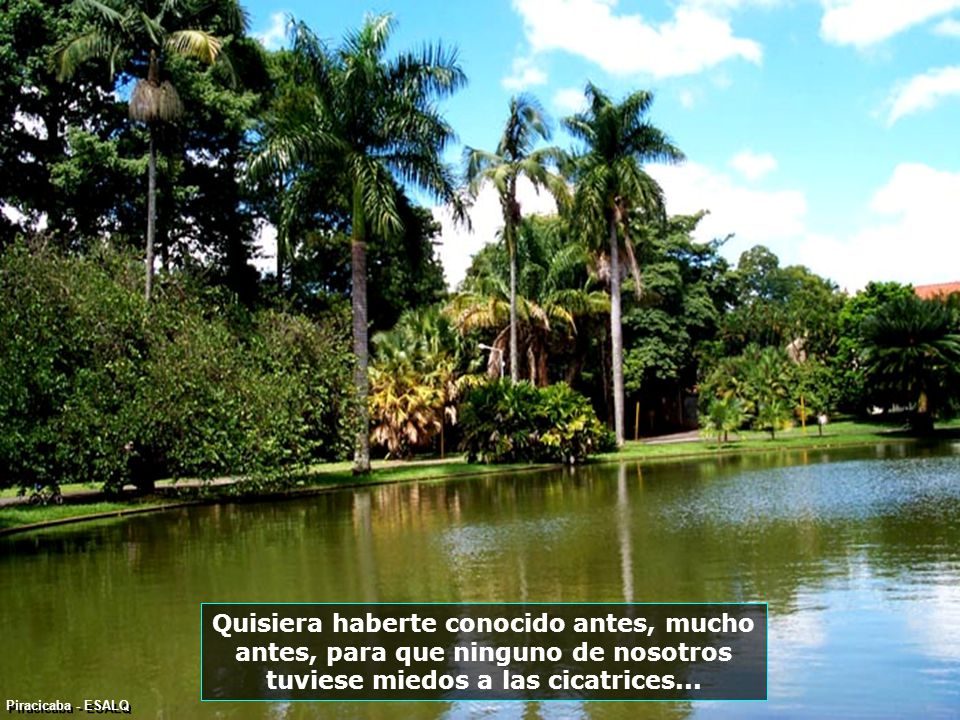 P PIRACICABA - ESALQ-700 Quisiera haberte conocido antes, mucho antes, para que ninguno de nosotros tuviese miedos a las cicatrices...