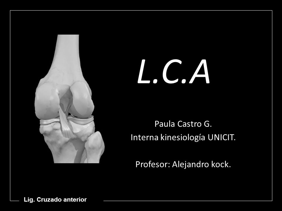 Paula Castro G. Interna kinesiología UNICIT. Profesor: Alejandro kock.