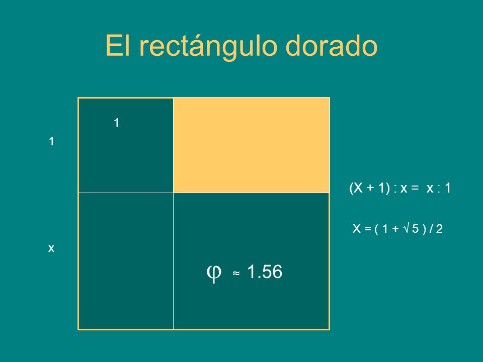 El rectángulo dorado (X + 1) : x = x : 1 1 x 1 X = ( 1 + √ 5 ) / 2 x