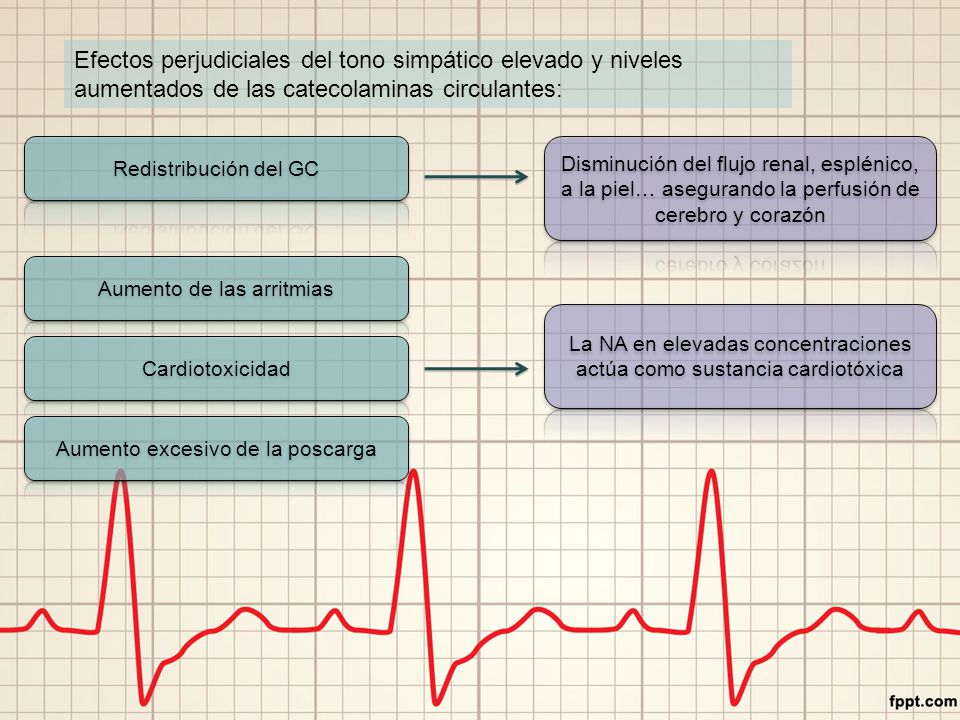 Efectos perjudiciales del tono simpático elevado y niveles aumentados de las catecolaminas circulantes: