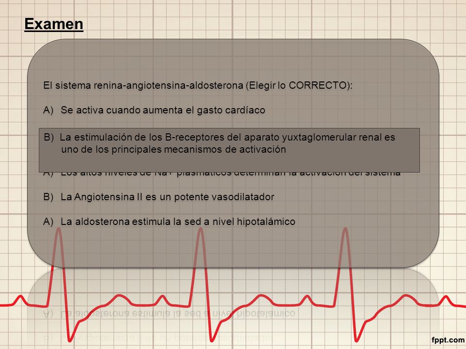Examen El sistema renina-angiotensina-aldosterona (Elegir lo CORRECTO): Se activa cuando aumenta el gasto cardíaco.