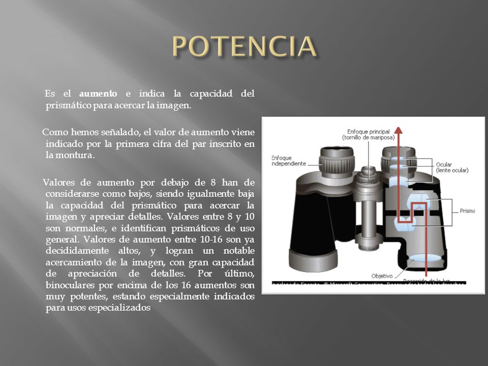 POTENCIA Es el aumento e indica la capacidad del prismático para acercar la imagen.