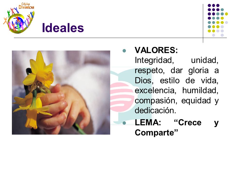 Ideales VALORES: Integridad, unidad, respeto, dar gloria a Dios, estilo de vida, excelencia, humildad, compasión, equidad y dedicación.
