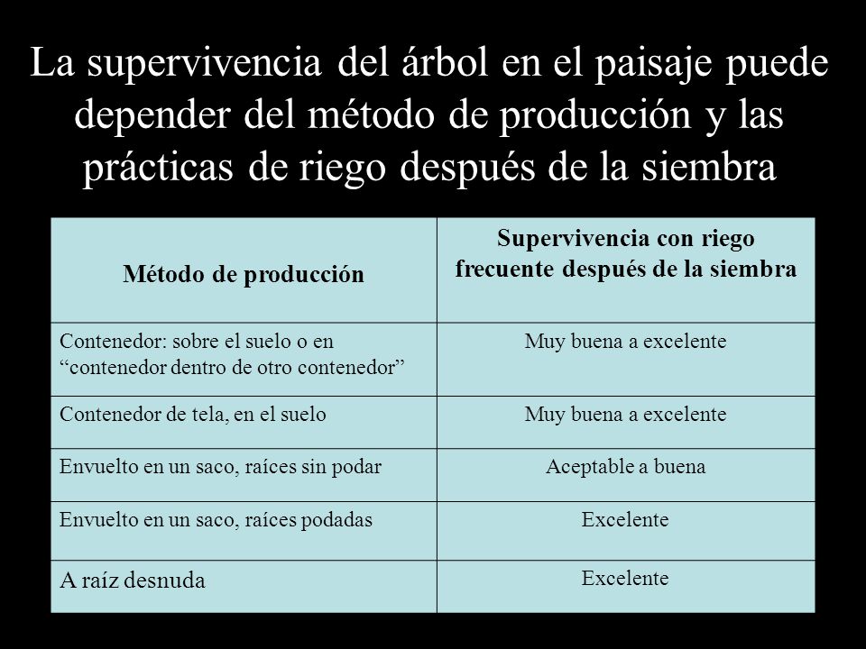 Supervivencia con riego frecuente después de la siembra