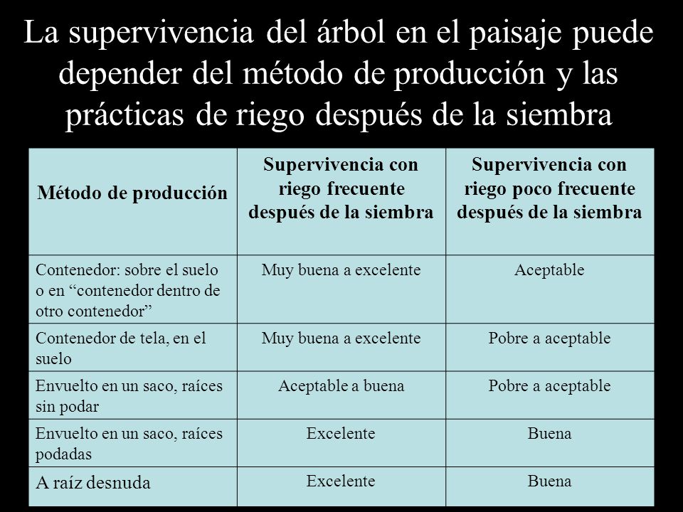 La supervivencia del árbol en el paisaje puede depender del método de producción y las prácticas de riego después de la siembra
