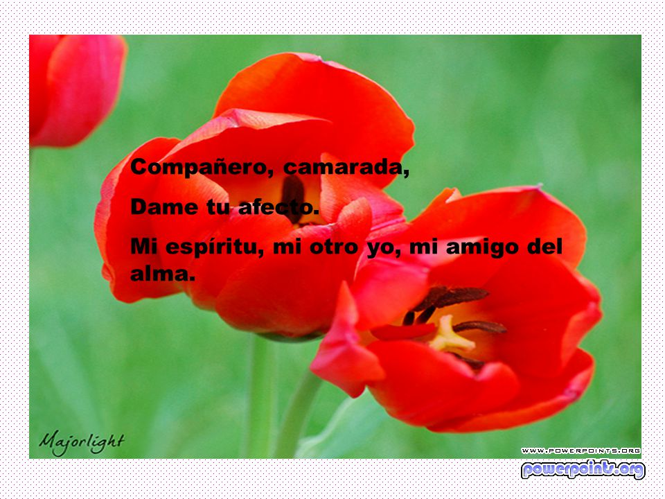 Compañero, camarada, Dame tu afecto. Mi espíritu, mi otro yo, mi amigo del alma.
