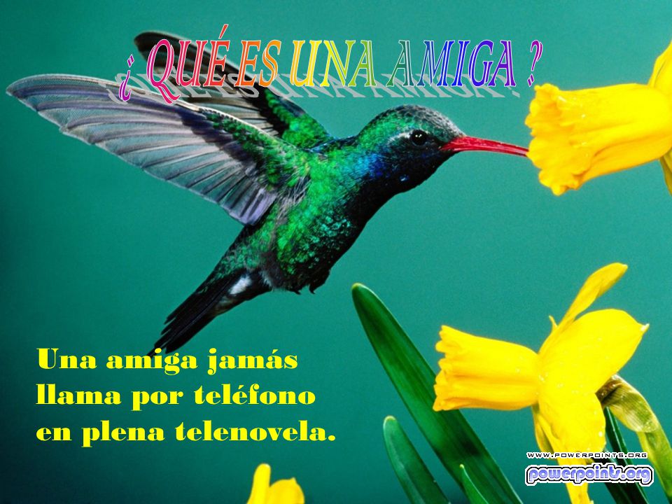 ¿ QUÉ ES UNA AMIGA Una amiga jamás llama por teléfono en plena telenovela.