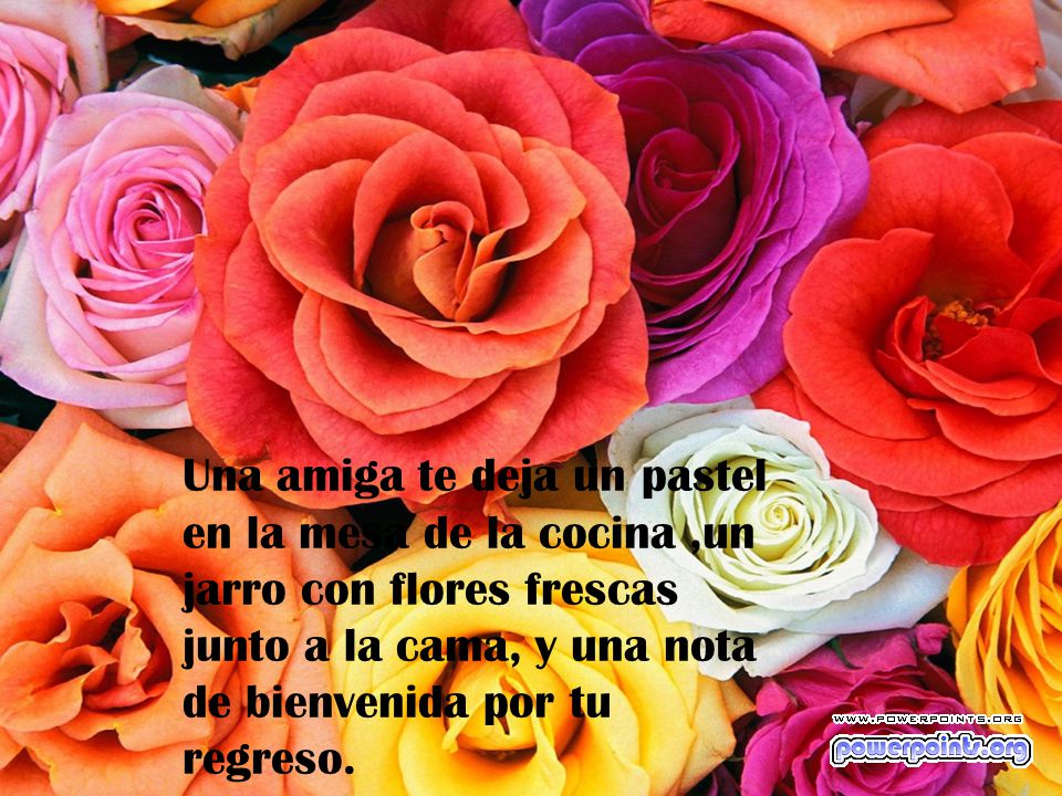 Una amiga te deja un pastel en la mesa de la cocina ,un jarro con flores frescas junto a la cama, y una nota de bienvenida por tu regreso.