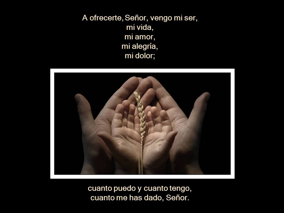 A ofrecerte, Señor, vengo mi ser, mi vida, mi amor, mi alegría,