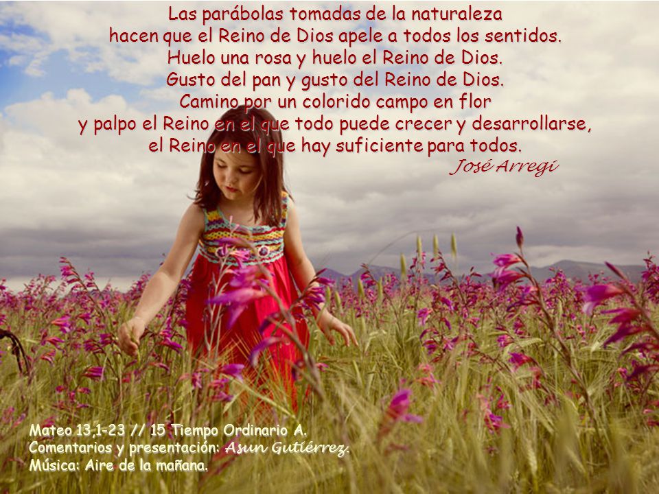 Las parábolas tomadas de la naturaleza hacen que el Reino de Dios apele a todos los sentidos.