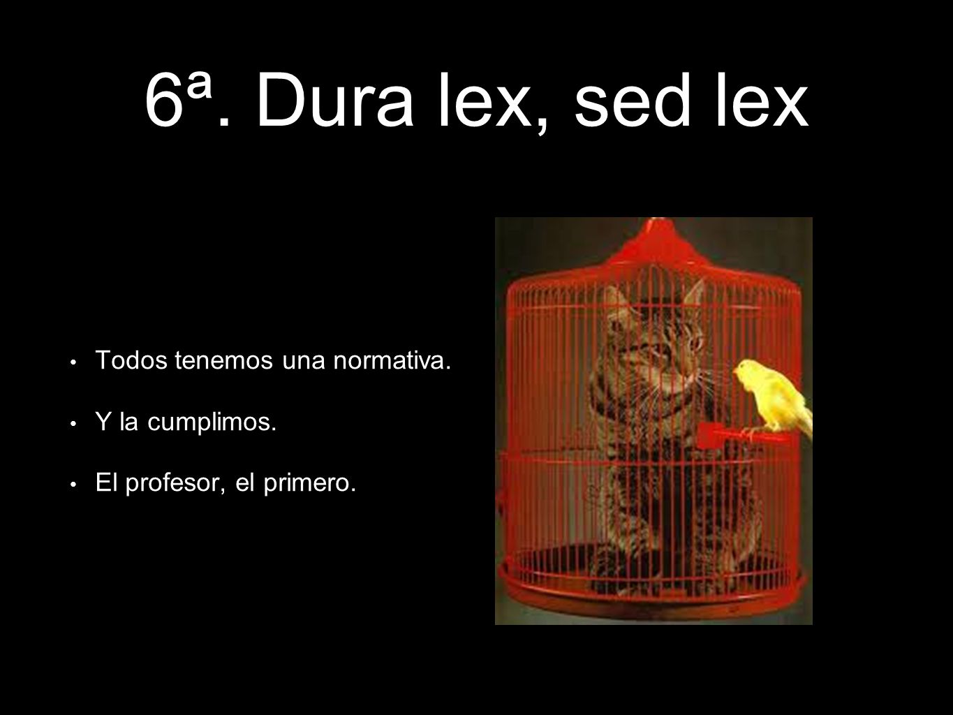 6ª. Dura lex, sed lex Todos tenemos una normativa. Y la cumplimos.