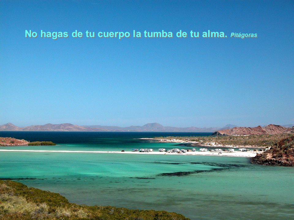 No hagas de tu cuerpo la tumba de tu alma. Pitágoras