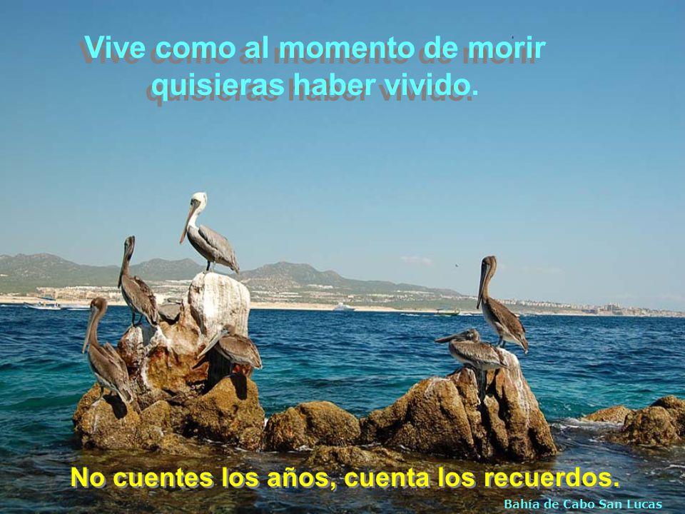 Vive como al momento de morir quisieras haber vivido.
