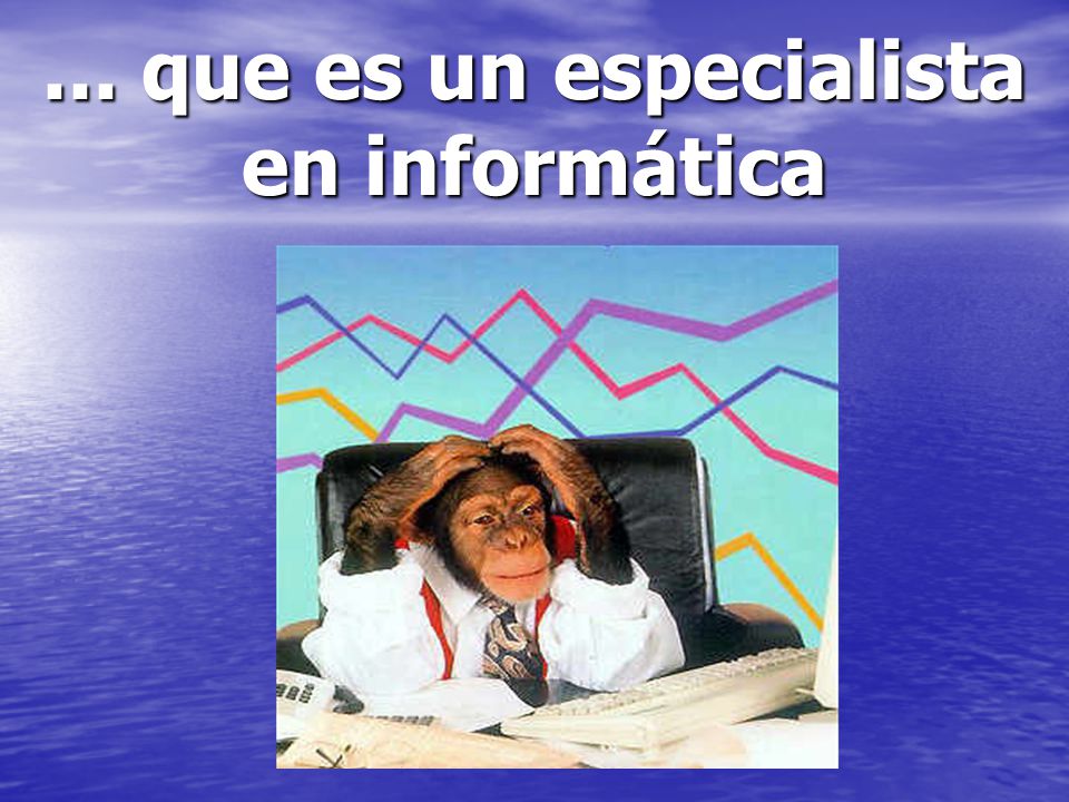 ... que es un especialista en informática