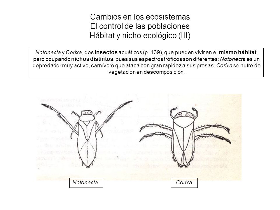 Cambios en los ecosistemas El control de las poblaciones Hábitat y nicho ecológico (III)