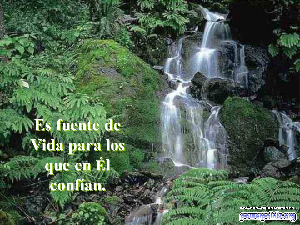 Es fuente de Vida para los que en Él confían.