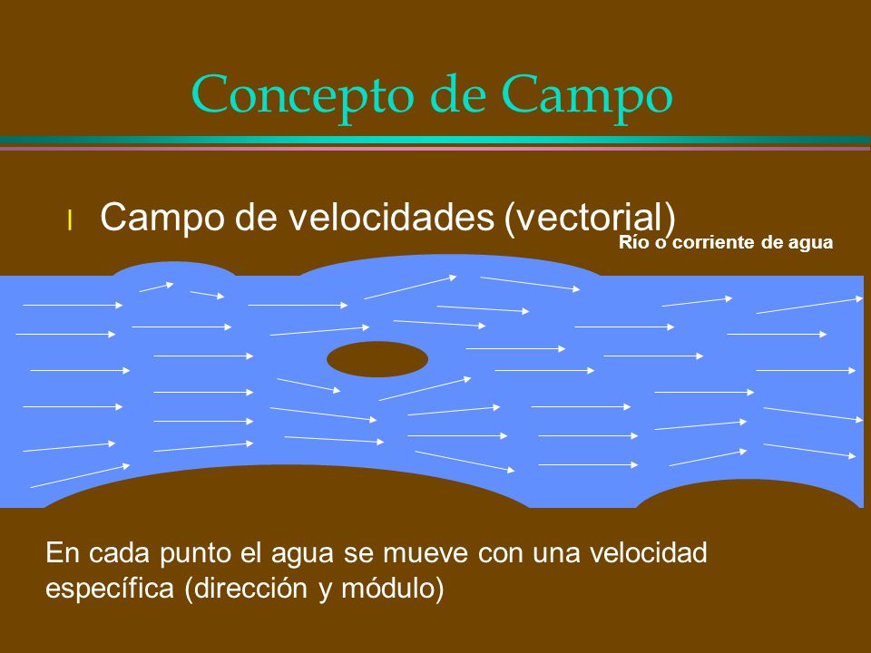 Concepto de Campo Campo de velocidades (vectorial)