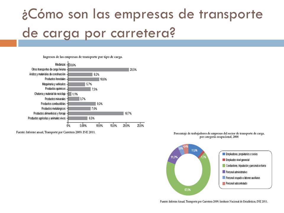 ¿Cómo son las empresas de transporte de carga por carretera