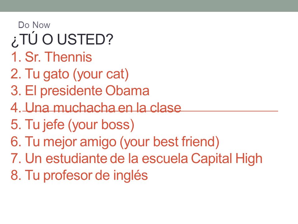 ¿Tú o Usted. 1. Sr. Thennis 2. Tu gato (your cat) 3