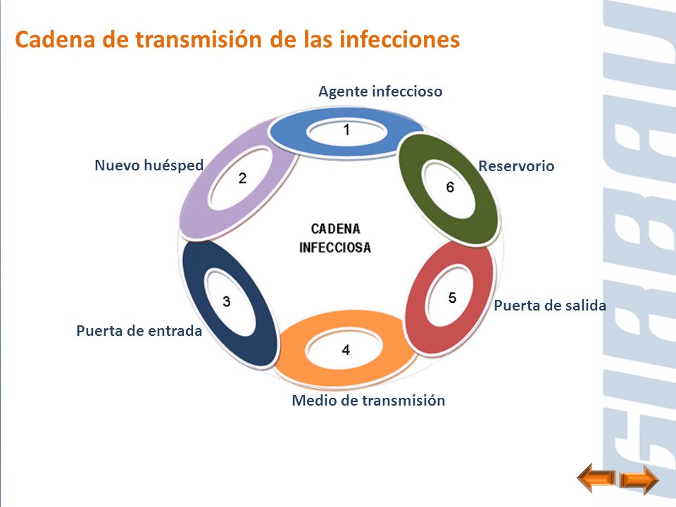 Cadena de transmisión de las infecciones