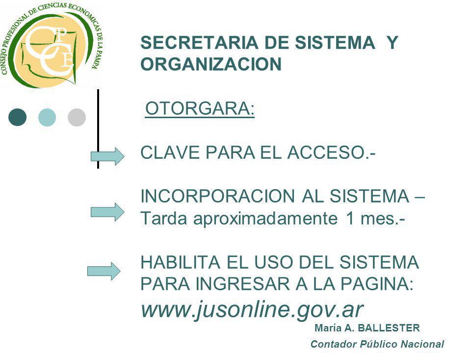 SECRETARIA DE SISTEMA Y ORGANIZACION OTORGARA: CLAVE PARA EL ACCESO