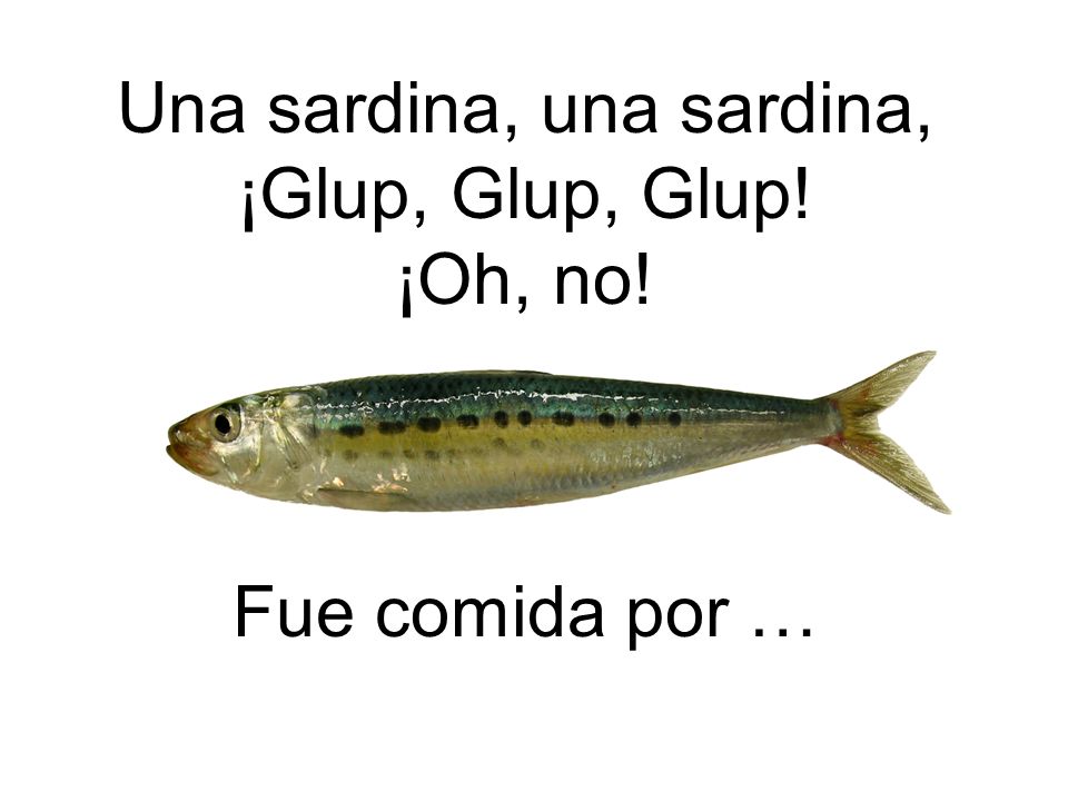 Una sardina, una sardina, ¡Glup, Glup, Glup! ¡Oh, no! Fue comida por …