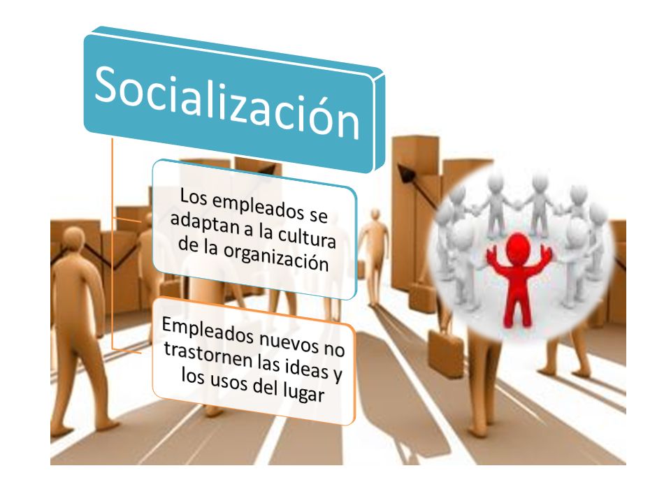 Los empleados se adaptan a la cultura de la organización