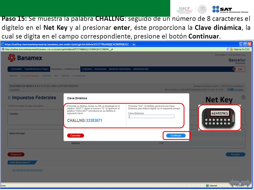 Paso 15: Se muestra la palabra CHALLNG: seguido de un número de 8 caracteres el digítelo en el Net Key y al presionar enter, éste proporciona la Clave dinámica, la cual se digita en el campo correspondiente, presione el botón Continuar.