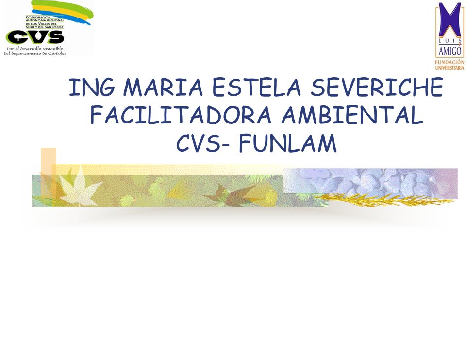 ING MARIA ESTELA SEVERICHE FACILITADORA AMBIENTAL CVS- FUNLAM