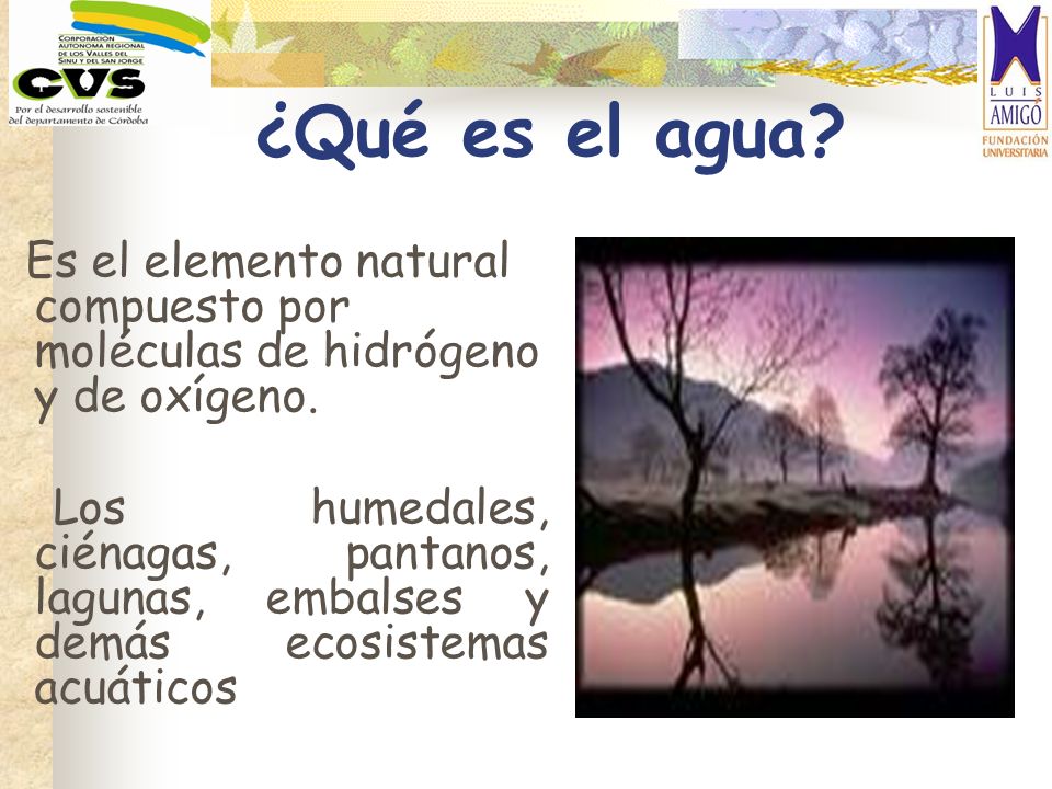 ¿Qué es el agua Es el elemento natural compuesto por moléculas de hidrógeno y de oxígeno.