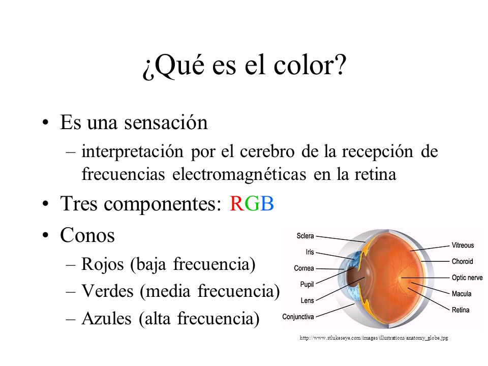 ¿Qué es el color Es una sensación Tres componentes: RGB Conos