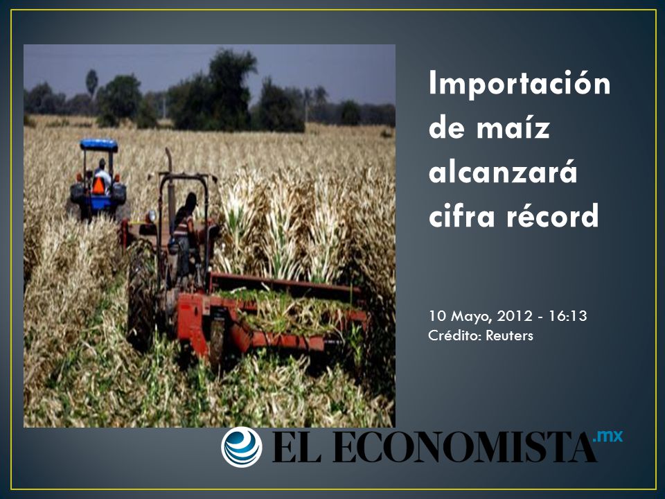 Importación de maíz alcanzará cifra récord