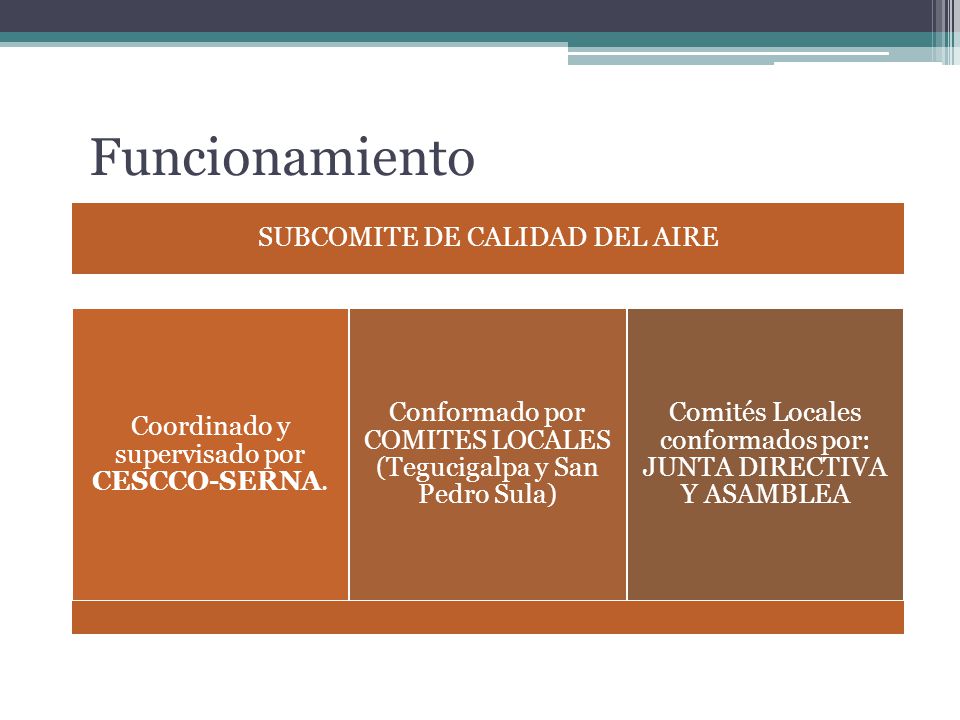 Funcionamiento SUBCOMITE DE CALIDAD DEL AIRE. Coordinado y supervisado por CESCCO-SERNA.