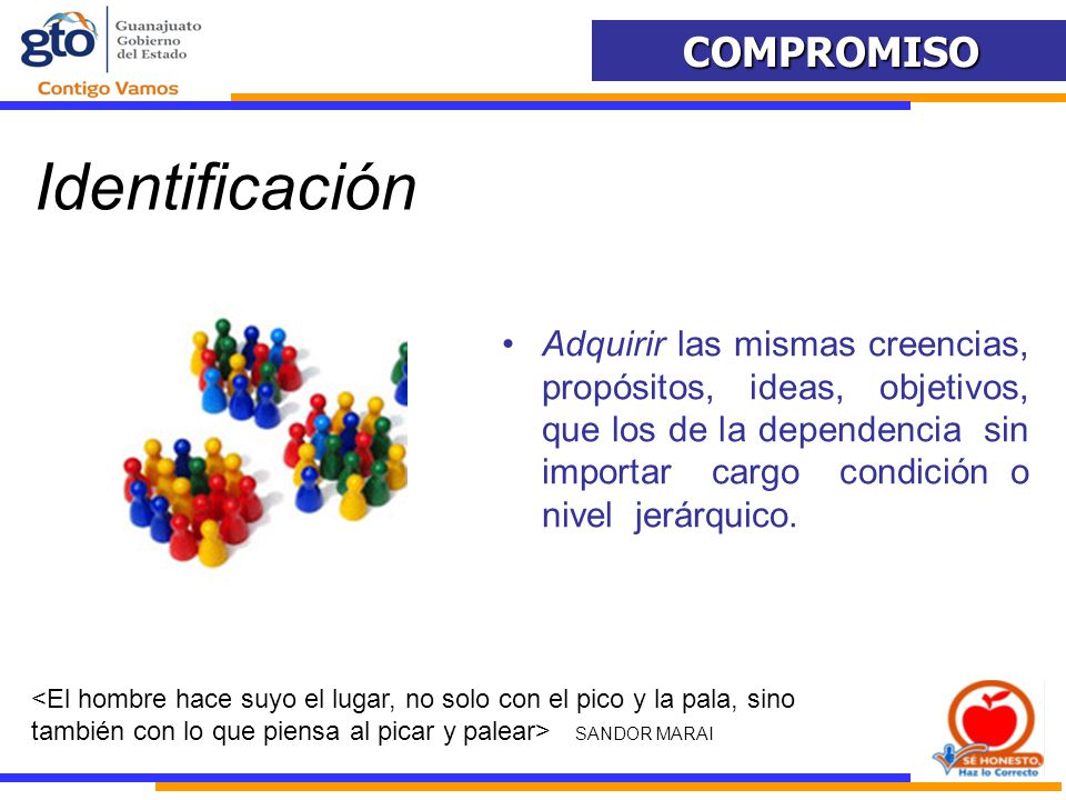 Identificación