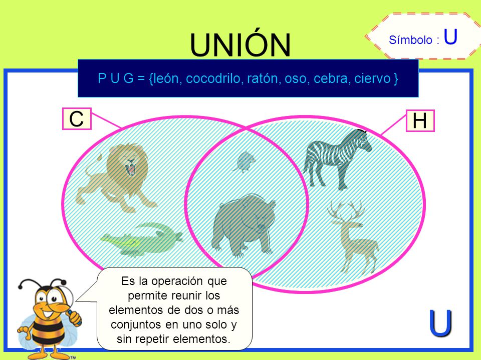 P U G = {león, cocodrilo, ratón, oso, cebra, ciervo }