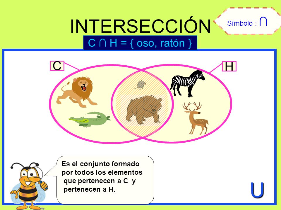 U INTERSECCIÓN C H C ∩ H = { oso, ratón } Símbolo : ∩