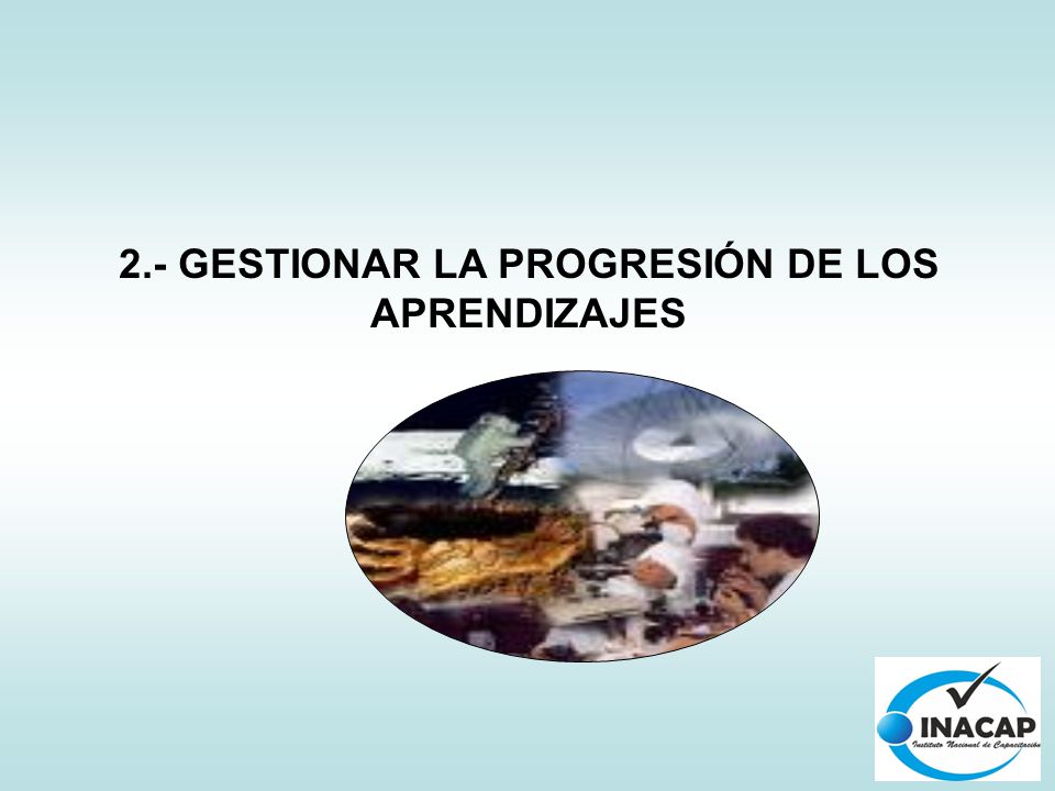 2.- GESTIONAR LA PROGRESIÓN DE LOS APRENDIZAJES