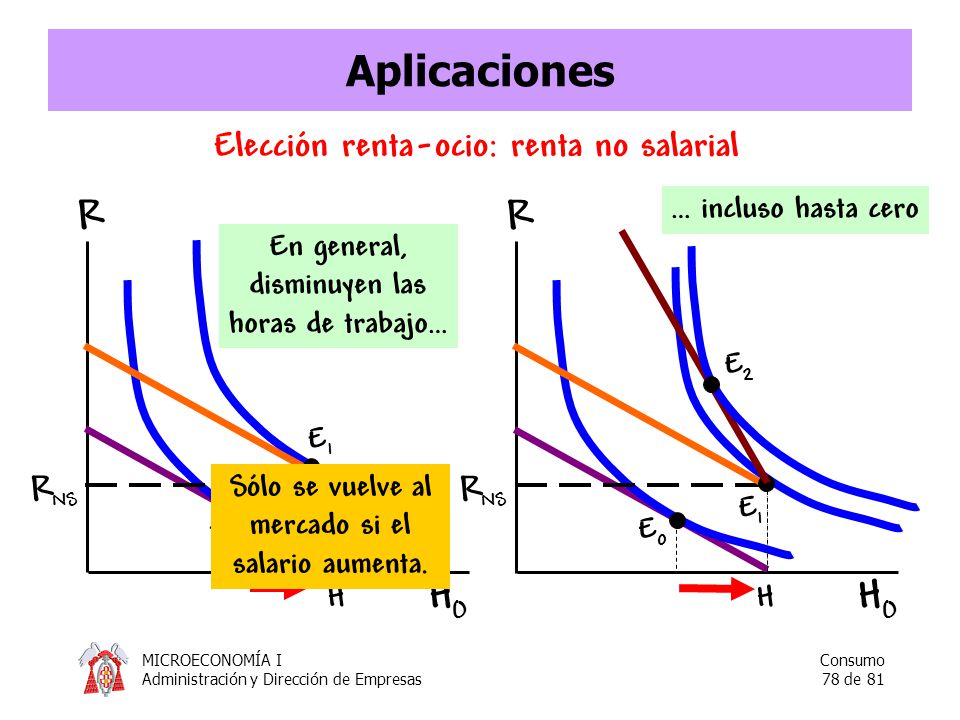 Aplicaciones R R HO HO Elección renta-ocio: renta no salarial RNS RNS