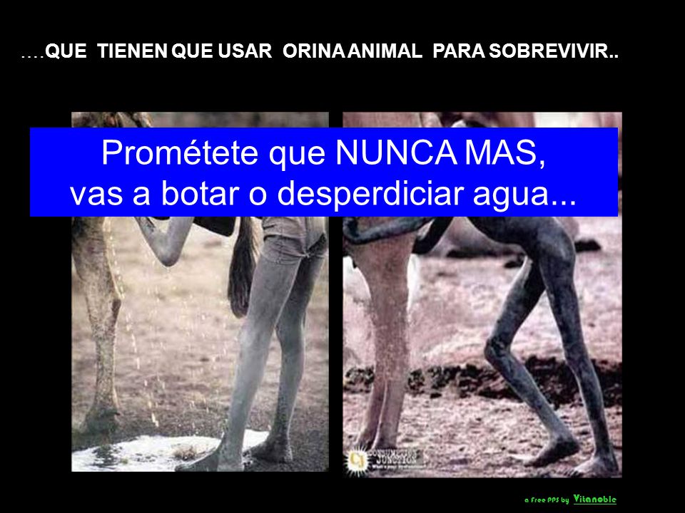 Prométete que NUNCA MAS, vas a botar o desperdiciar agua...