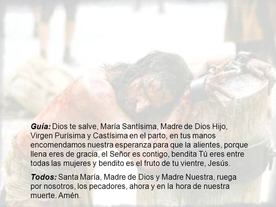 Guía: Dios te salve, María Santísima, Madre de Dios Hijo, Virgen Purísima y Castísima en el parto, en tus manos encomendamos nuestra esperanza para que la alientes, porque llena eres de gracia, el Señor es contigo, bendita Tú eres entre todas las mujeres y bendito es el fruto de tu vientre, Jesús.