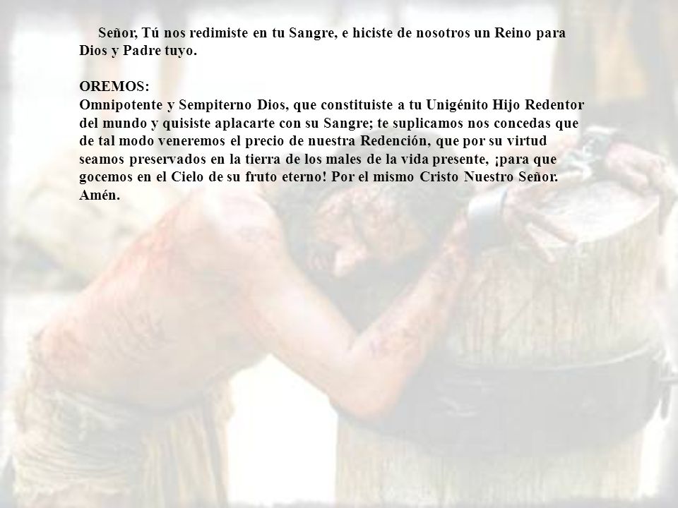 Señor, Tú nos redimiste en tu Sangre, e hiciste de nosotros un Reino para Dios y Padre tuyo.
