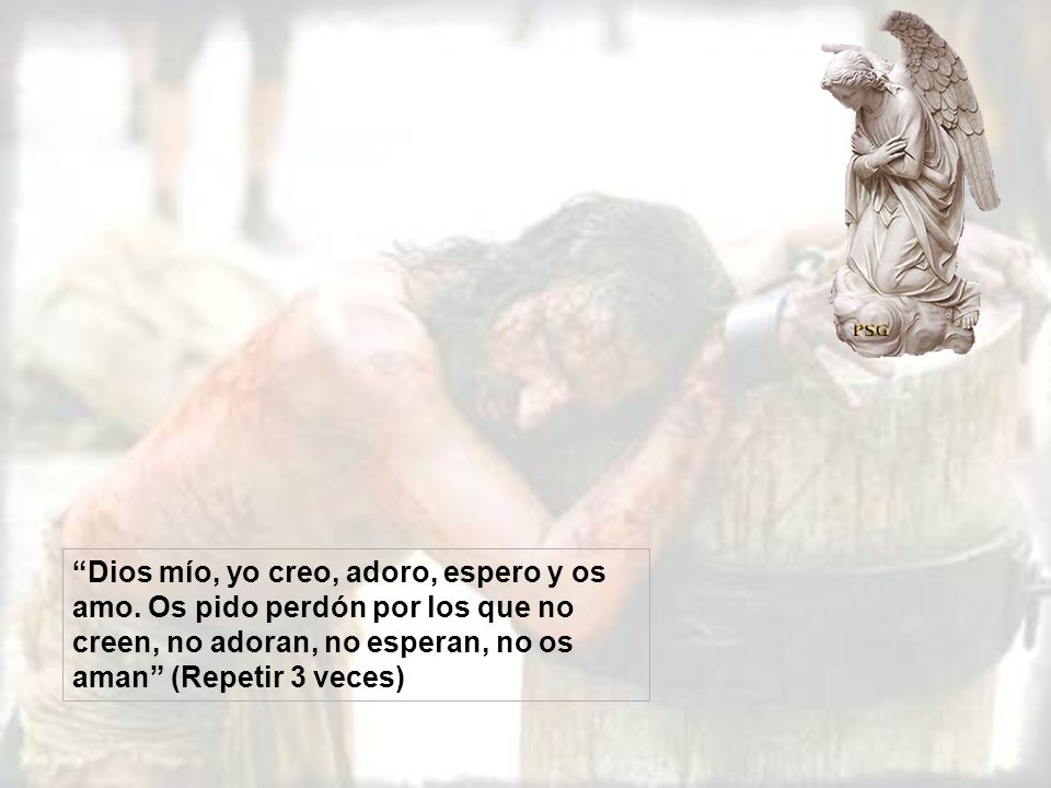 Dios mío, yo creo, adoro, espero y os amo