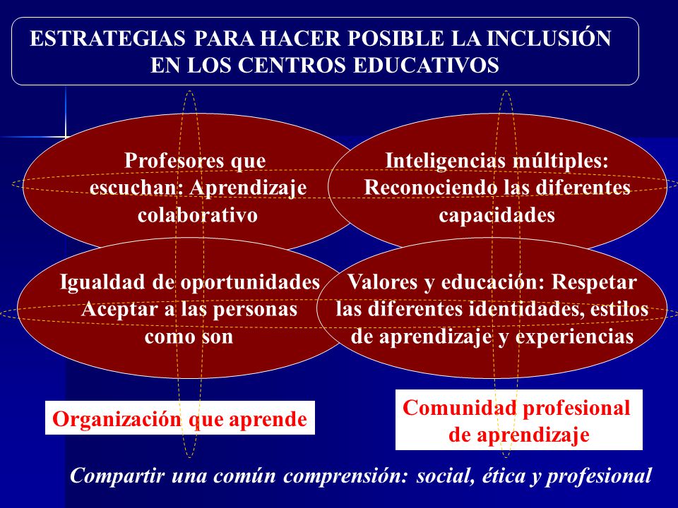 ESTRATEGIAS PARA HACER POSIBLE LA INCLUSIÓN EN LOS CENTROS EDUCATIVOS