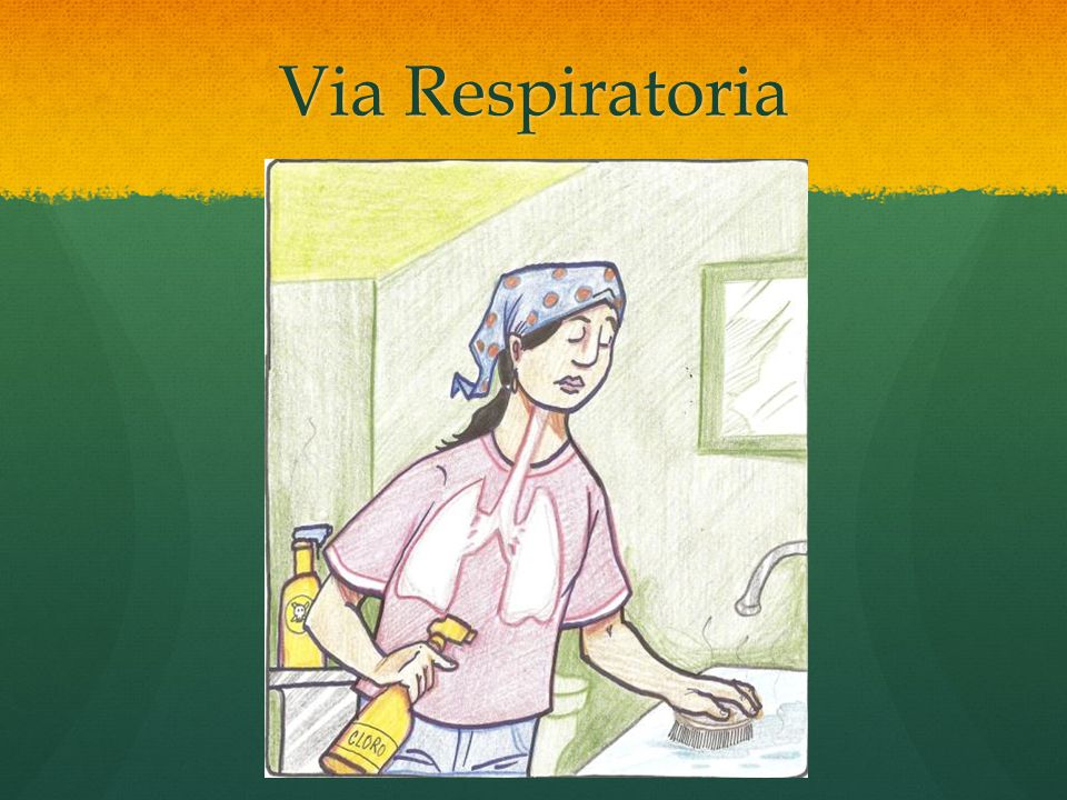 Via Respiratoria