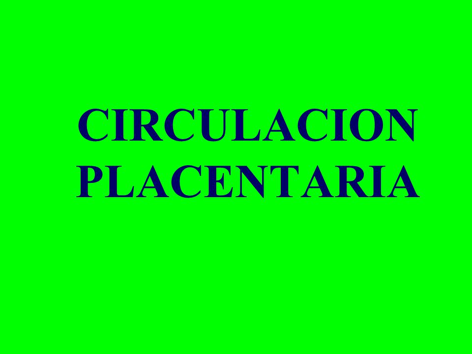 CIRCULACION PLACENTARIA