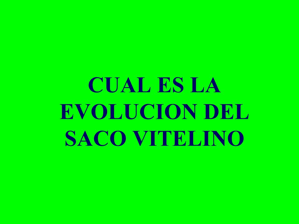 CUAL ES LA EVOLUCION DEL SACO VITELINO