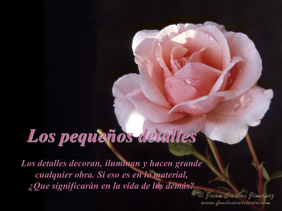 Los pequeños detalles Los detalles decoran, iluminan y hacen grande cualquier obra.
